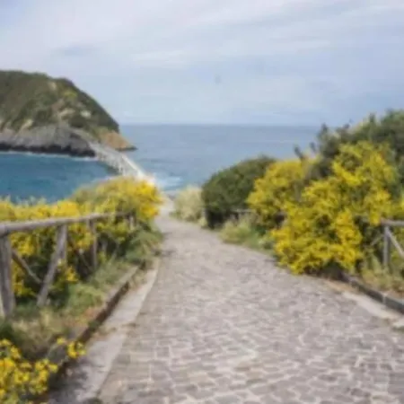 Tuttiacasaditeresa * Procida